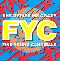 Fine Young Cannibals - She Drives Me Crazy cover