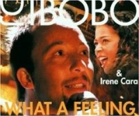 DJ Bobo & Irene Cara - What A Feeling cover