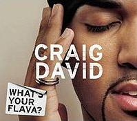 Craig David - What's Your Flava cover