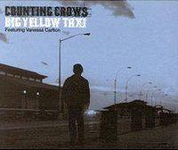 Counting Crows - Big Yellow Taxi cover