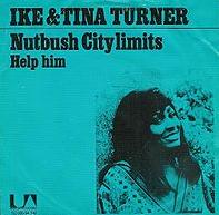 Ike & Tina Turner - Nutbush City Limits cover
