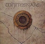 Whitesnake - Here I Go Again cover