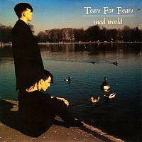 Tears For Fears - Mad World cover