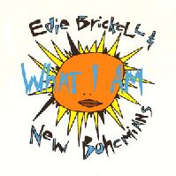 Edie Brickell & The New Bohemians - What I Am cover
