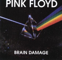 Pink Floyd - Brain Damage cover