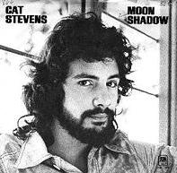 Cat Stevens - Moonshadow cover