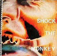 Peter Gabriel - Shock The Monkey cover
