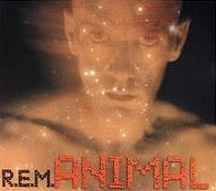 REM - Animal cover