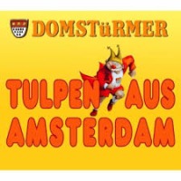 Domstrmer - Tulpen aus Amsterdam (Partymix) cover