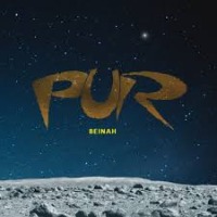 Pur - Beinah cover