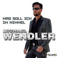 Michael Wendler - Was soll ich im Himmel cover