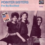 The Pointer Sisters - I'm so excited cover