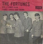 The Fortunes - Here it comes again cover