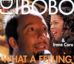 DJ Bobo feat. Irene Cara - What a feeling cover