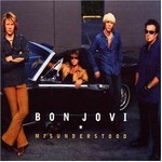 Bon Jovi - Misunderstood cover