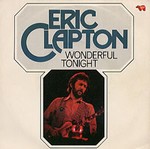 Eric Clapton - Wonderful tonight cover