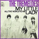 The Tremeloes - My Little Lady cover