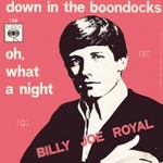Billy Joe Royal - Down In The Boondocks cover