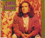 Curtis Stigers - I Wonder Why cover
