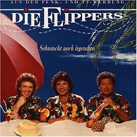 Die Flippers - Wenn ich morgens aufsteh' cover