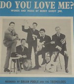 The Tremeloes - Do You Love Me? cover