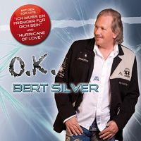 Bert Silver - Ich muss ein Fremder fr dich sein cover