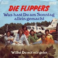 Die Flippers - Was hast du am Sonntag allein gemacht cover
