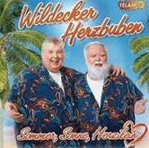 Wildecker Herzbuben - Wini wini (party version) cover