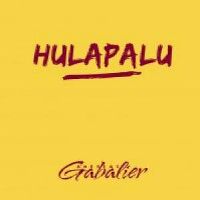 Andreas Gabalier - Hulapalu cover