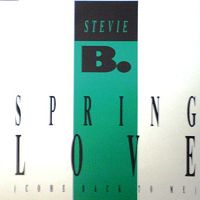 Stevie B. - Spring Love (Freestyle) cover