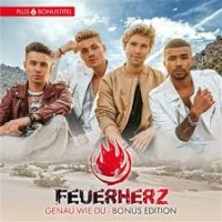 Feuerherz - Baby langsam (Despacito Deutsch) cover