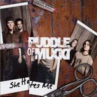 Puddle of Mudd - She hates me cover