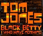 Tom Jones - Black Betty cover