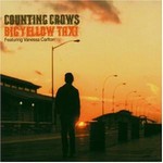 Counting Crows - Big Yellow Taxi cover