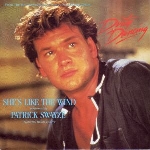Patrick Swayze - She's Like the Wind (from 'Dirty Dancing' film) cover