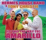 Hermes House Band & Tony Christie - Amarillo cover