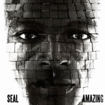 Seal (TWD Dance Edit) - Amazing cover