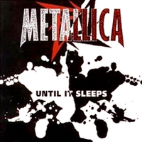 Metallica - Until It Sleeps cover