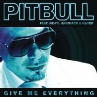 Pitbull ft. Ne-Yo, Afrojack & Nayer - Give Me Everything cover