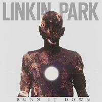 Linkin Park - Burn It Down cover