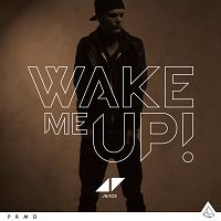 Avicii & Aloe Blacc - Wake Me Up cover
