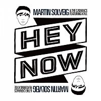 Martin Solveig & the Cataracs ft. Kyle - Hey Now cover