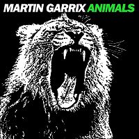 Martin Garrix - Animals cover