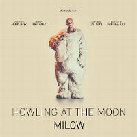 Milow - Howling at the Moon cover