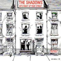 The Shadows - This Ole House cover