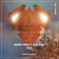 Mahmut Orhan ft. Sena Sener - Feel cover