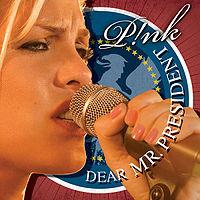 Pink feat. Indigo Girls - Dear Mr President cover